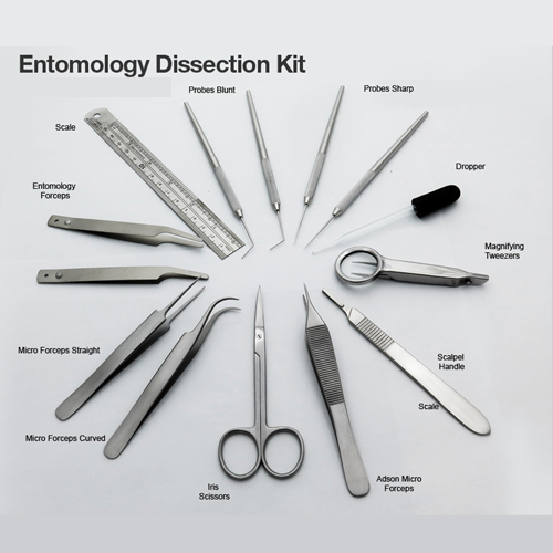 Cover Slips & Dissecting Instruments